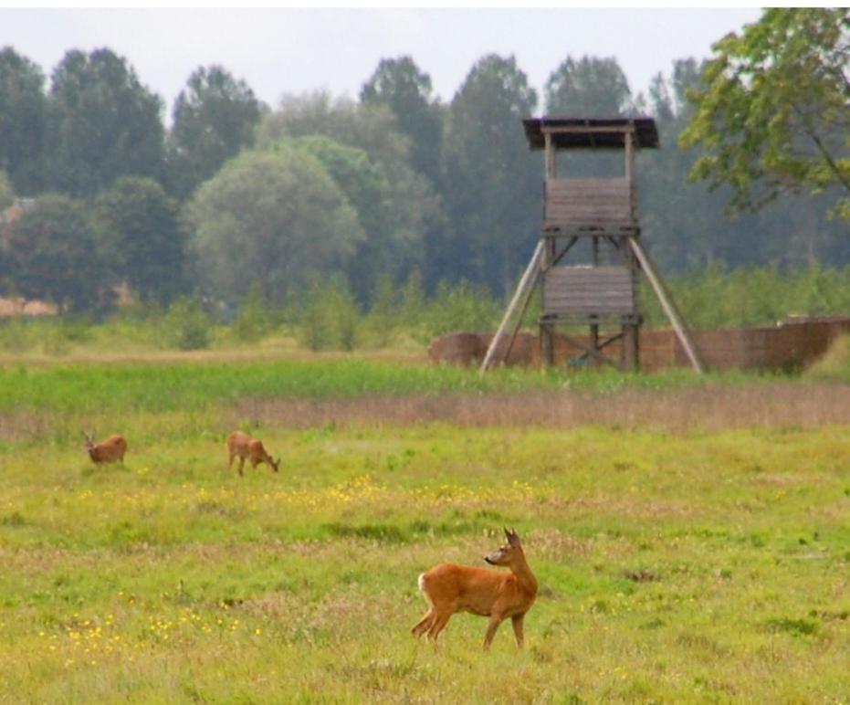Am Treis Villa Wieringerwerf Dış mekan fotoğraf